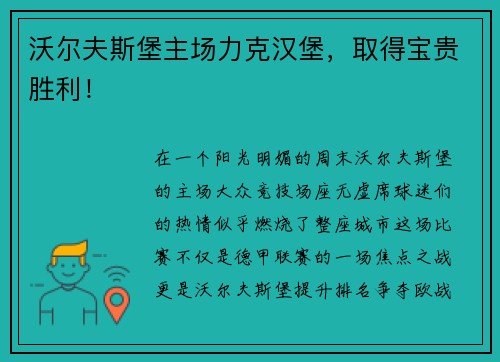 沃尔夫斯堡主场力克汉堡，取得宝贵胜利！