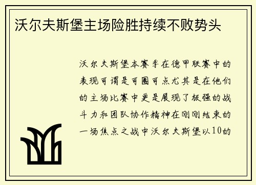 沃尔夫斯堡主场险胜持续不败势头
