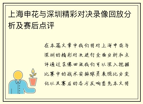 上海申花与深圳精彩对决录像回放分析及赛后点评